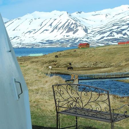 Sky Sighting Igluhus - Stay'In Arbakki Arskogssandur Exterior photo