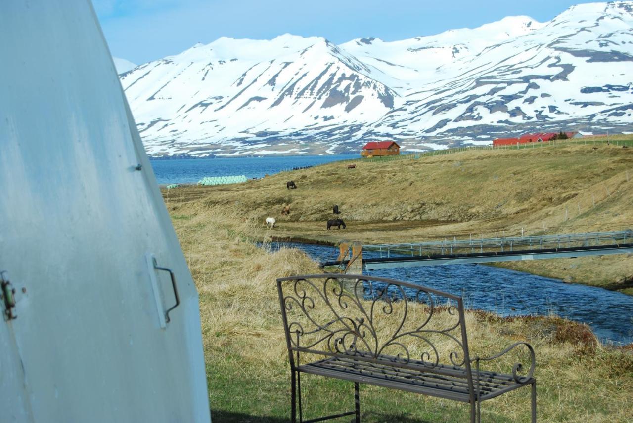 Sky Sighting Igluhus - Stay'In Arbakki Arskogssandur Exterior photo