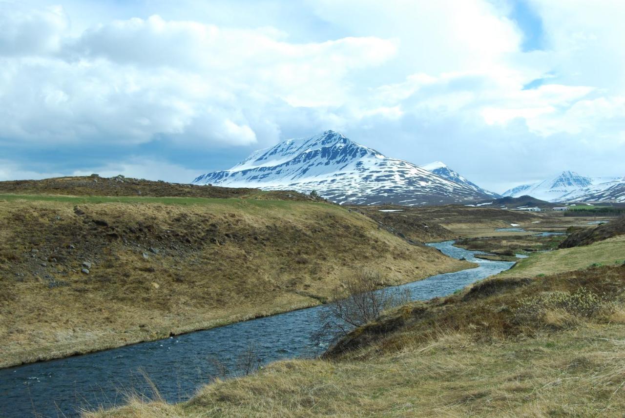 Sky Sighting Igluhus - Stay'In Arbakki Arskogssandur Exterior photo